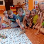 phoca_thumb_m_agamy krlk zajci 21 Fotogalerie